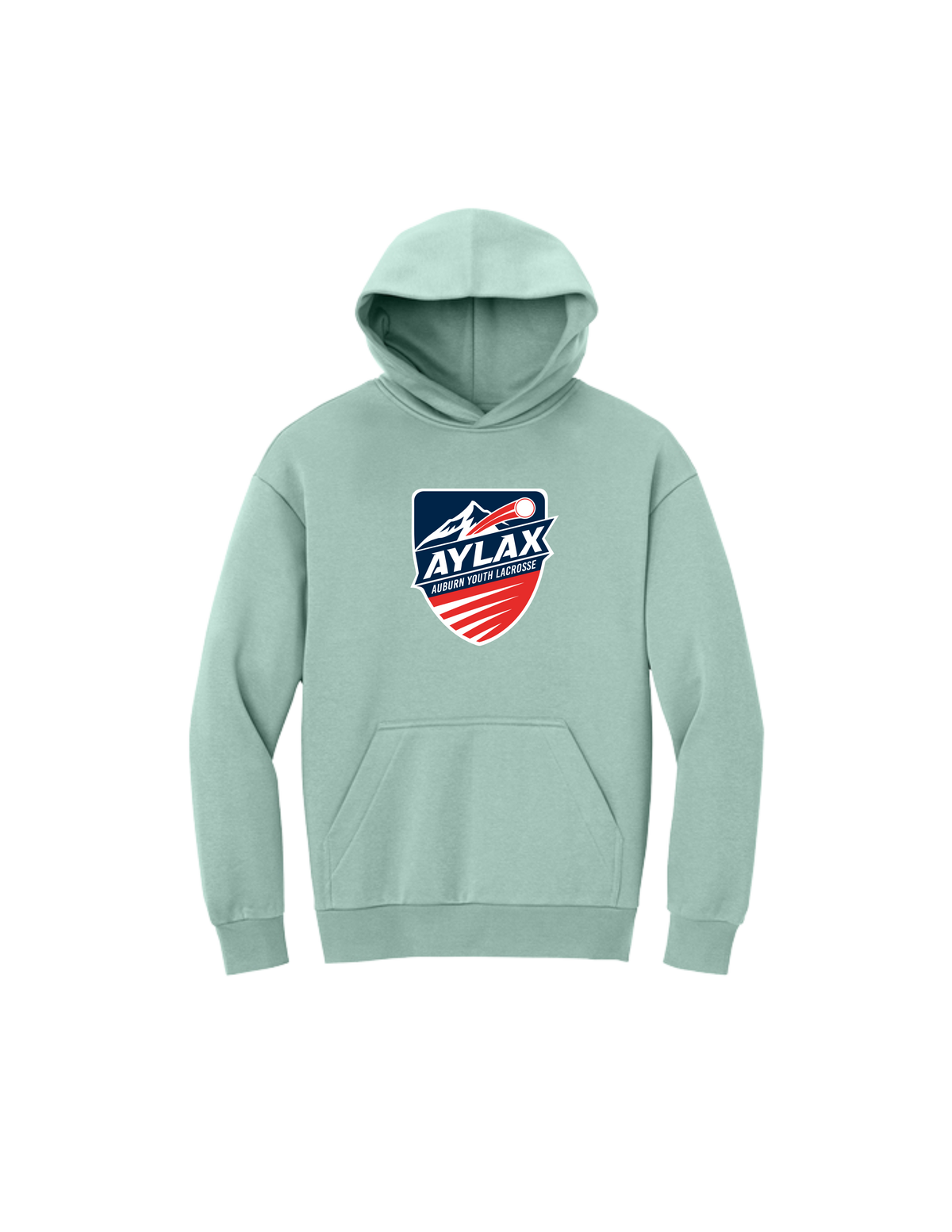 AYL District VIT Heavyweight Fleece Hoodie (Center Logo)
