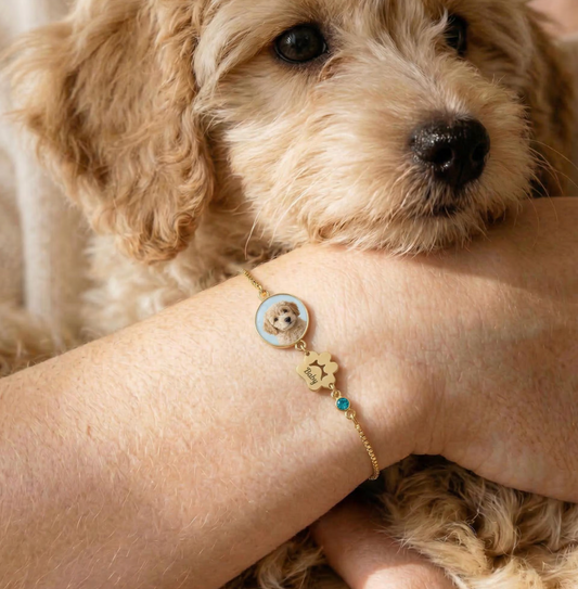 Dog Bracelet
